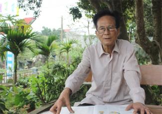 Những giá trị tuyệt vời ít người biết của cây xanh