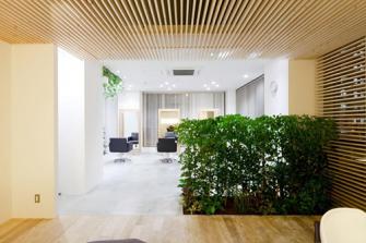 Sử dụng cây xanh thay thế vách ngăn khô cứng