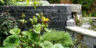 7 bước để có một 