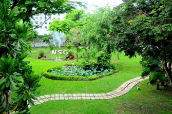 Ngôi trường rợp bóng cây xanh ở Sài Gòn