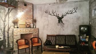 Quán cà phê dạy trồng cây xanh trong ngõ nhỏ Hà Nội