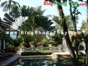 Cây xanh và Phong thủy