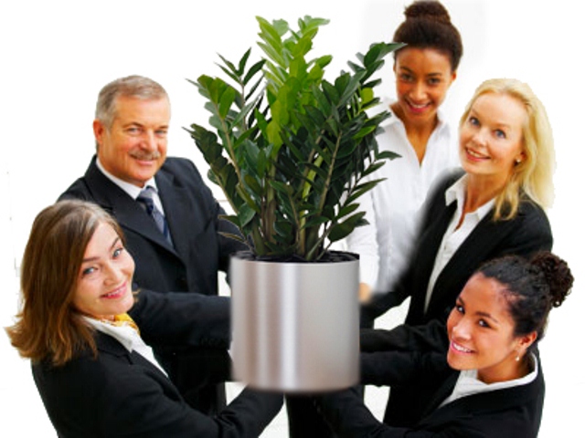 cây xanh duy trì thái độ làm việc tốt của nhân viên